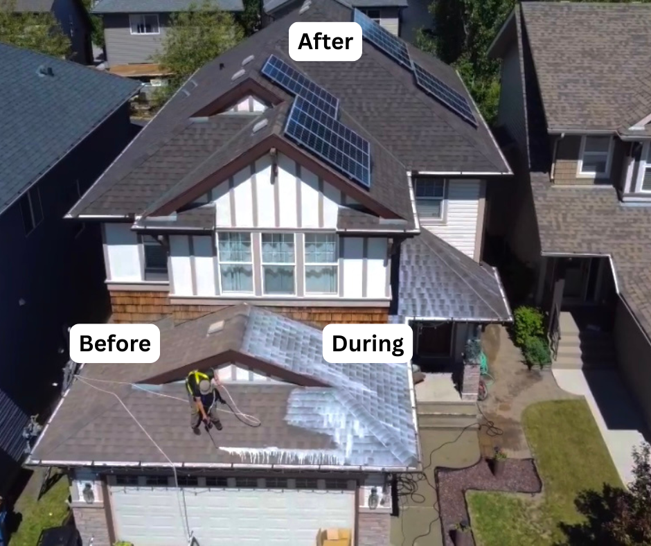 Before & after roof rejuvenation 2